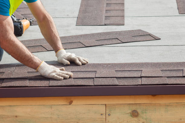Best Skylight Installation and Repair  in East Ridge, TN